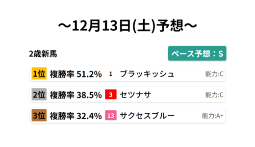 2歳新馬 データサイエンス競馬予想-12月13日(土)-