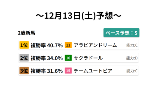 2歳新馬 データサイエンス競馬予想-12月13日(土)-