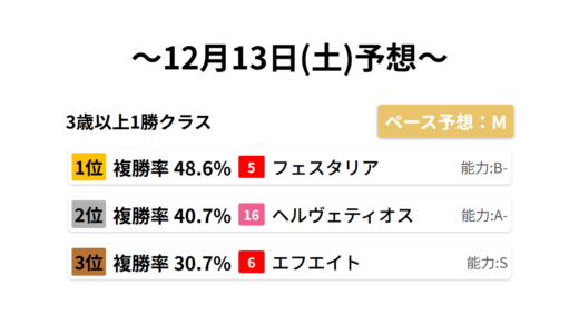 3歳以上1勝クラス データサイエンス競馬予想-12月13日(土)-
