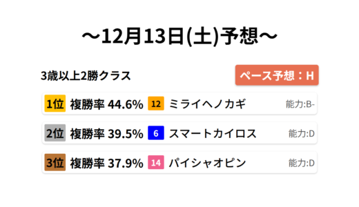3歳以上2勝クラス データサイエンス競馬予想-12月13日(土)-