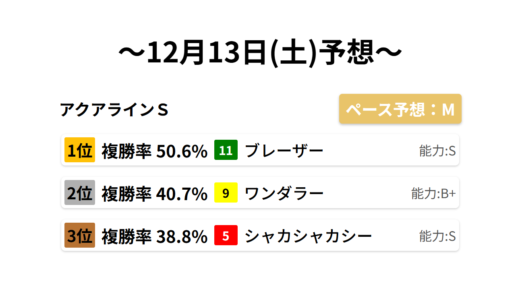 アクアラインＳ データサイエンス競馬予想-12月13日(土)-