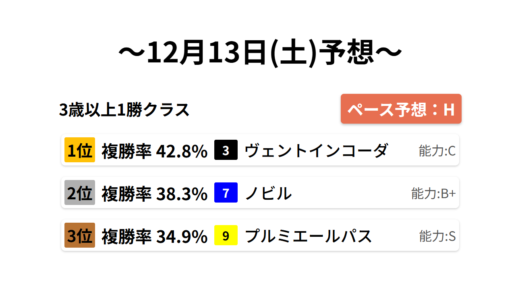 3歳以上1勝クラス データサイエンス競馬予想-12月13日(土)-