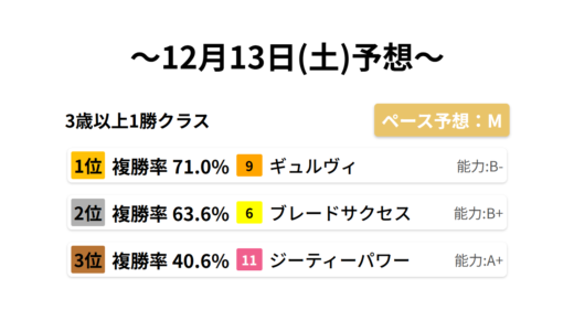3歳以上1勝クラス データサイエンス競馬予想-12月13日(土)-