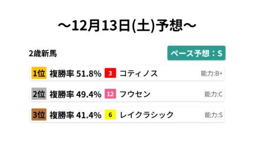 2歳新馬 データサイエンス競馬予想-12月13日(土)-