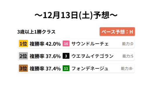 3歳以上1勝クラス データサイエンス競馬予想-12月13日(土)-