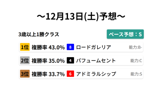 3歳以上1勝クラス データサイエンス競馬予想-12月13日(土)-