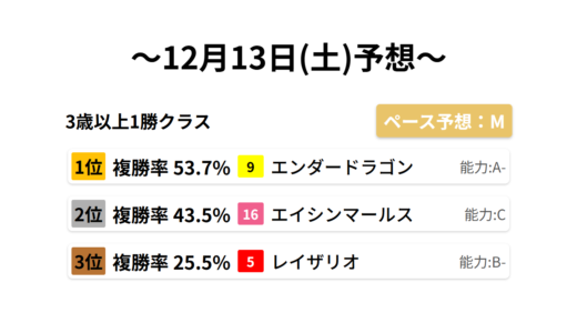 3歳以上1勝クラス データサイエンス競馬予想-12月13日(土)-