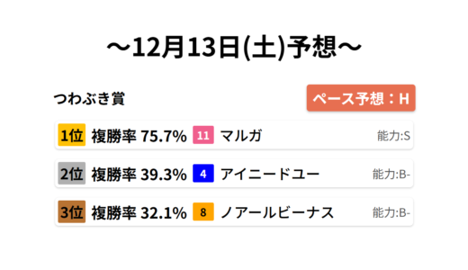 つわぶき賞 データサイエンス競馬予想-12月13日(土)-