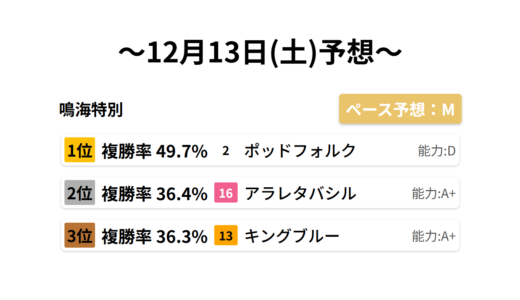 鳴海特別 データサイエンス競馬予想-12月13日(土)-