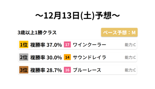 3歳以上1勝クラス データサイエンス競馬予想-12月13日(土)-
