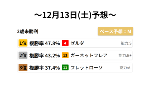 2歳未勝利 データサイエンス競馬予想-12月13日(土)-