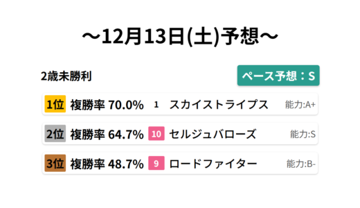 2歳未勝利 データサイエンス競馬予想-12月13日(土)-