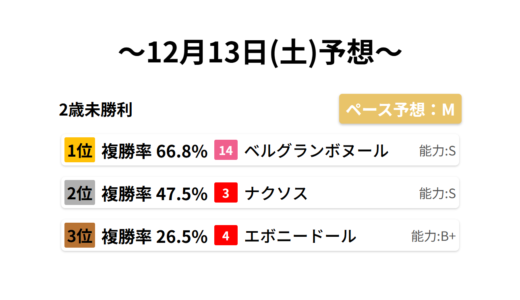 2歳未勝利 データサイエンス競馬予想-12月13日(土)-