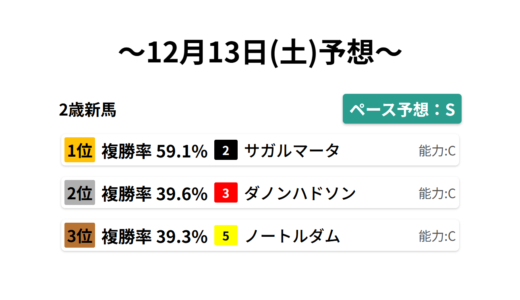 2歳新馬 データサイエンス競馬予想-12月13日(土)-