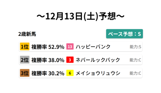 2歳新馬 データサイエンス競馬予想-12月13日(土)-