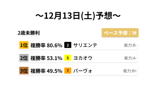 2歳未勝利 データサイエンス競馬予想-12月13日(土)-